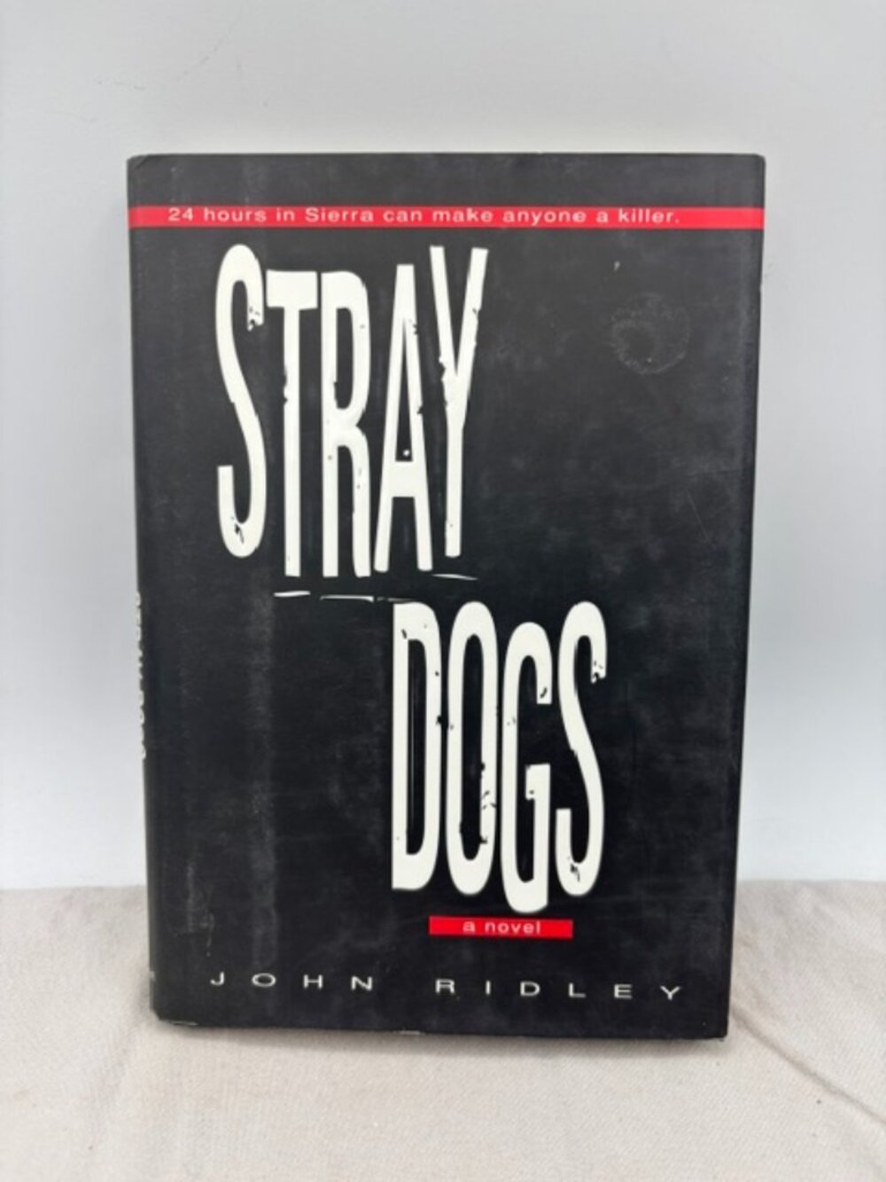 Stray Dogs by John Ridley (1997, Hardcover)